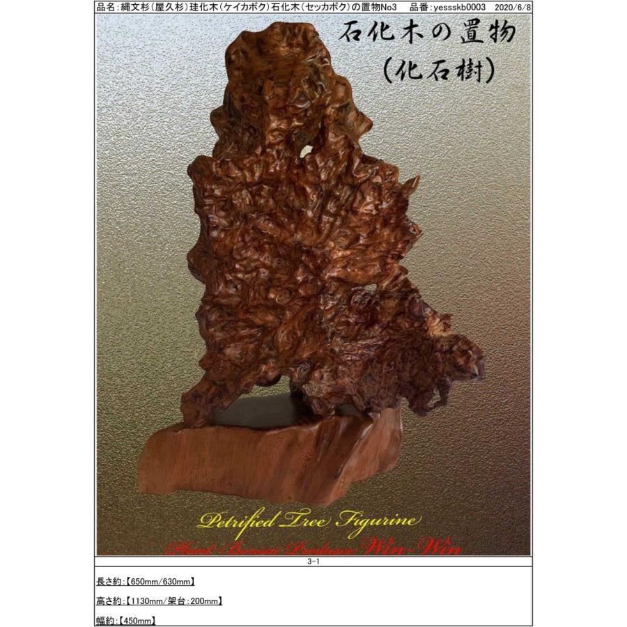 2020年 屋久杉 希少価値の高い石化木(セッカボク)の置物 No3 2020年 屋久杉 希少価値の高い石化木(セッカボク)の置物 No3