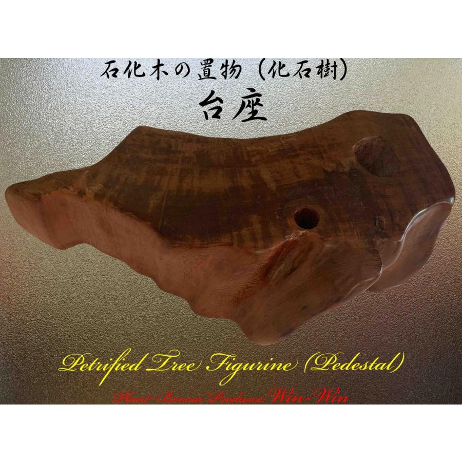 2020年 屋久杉 希少価値の高い石化木(セッカボク)の置物 No3 2020年 屋久杉 希少価値の高い石化木(セッカボク)の置物 No3