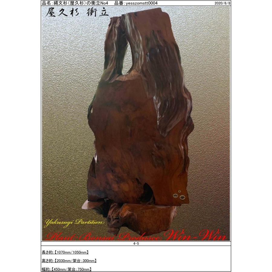 2020年 屋久杉 迫力満点・威風堂々の衝立 No4 : PLANT・BONSAI