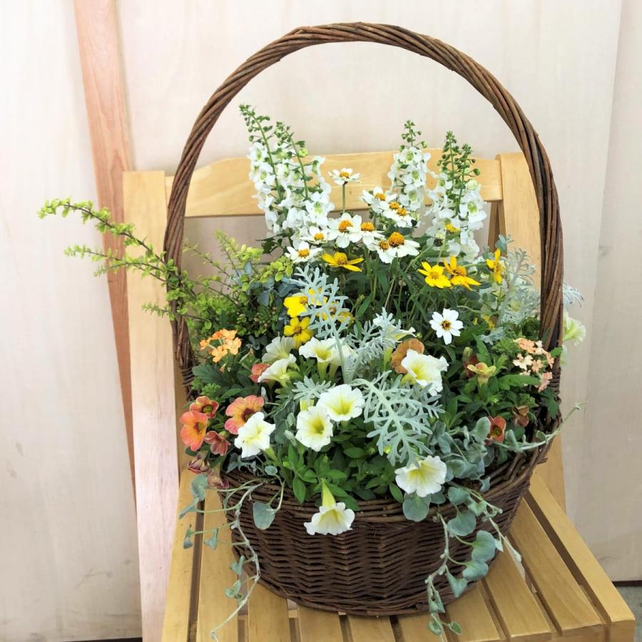 籐のカゴの寄せ植え02 季節のお花 おまかせ アレンジ 籐のカゴの寄せ植え02 季節のお花 おまかせ アレンジ