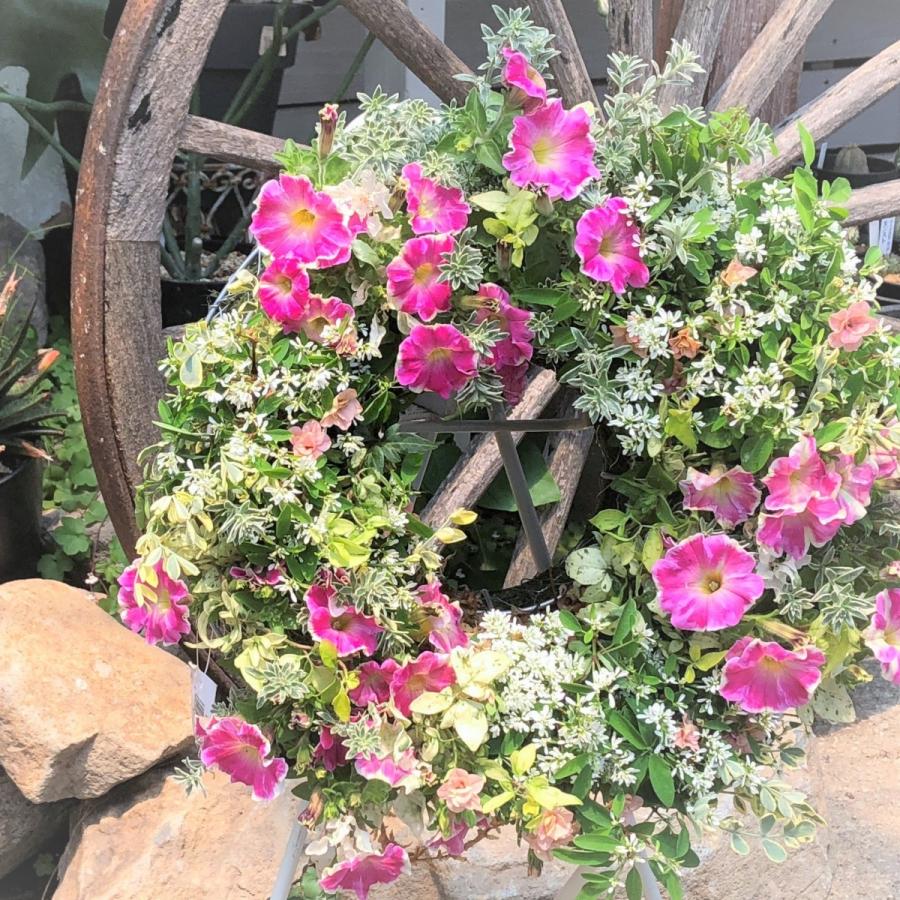 リース型のお花の寄せ植え 直径約30ｃｍ ギャザリング 寄せ植え お祝い お誕生日 プレゼント ギフト リース Wreath01 寄せ植え専門店プランテプランテ 通販 Yahoo ショッピング