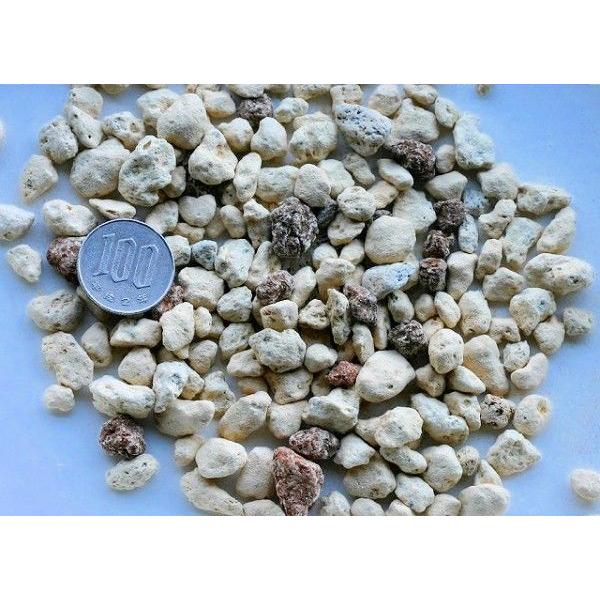 春蘭の土【ベスト蘭配合土】18L／10袋セット ガーデニング 家庭菜園 ベランダ菜園 花壇づくり 土づくり 植え替え 肥料 園芸 野菜用 培養土 野菜 花_2