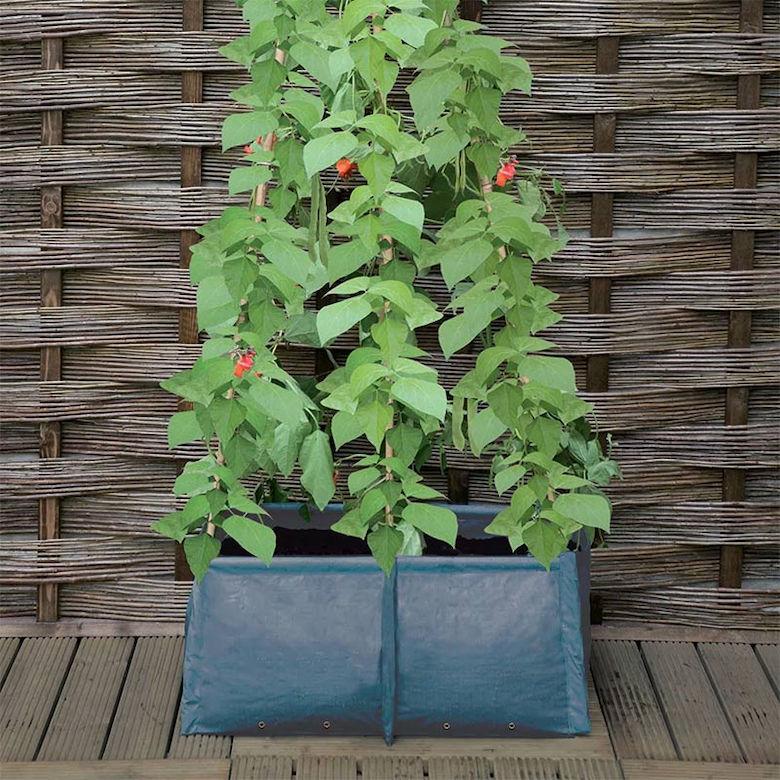 Haxnicks Pea & Bean Patio Planter たためる布製プランター 鉢 支柱穴