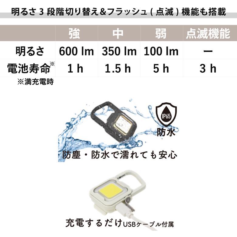 【アウトドア】フラッシュライト　10個セット【防災グッズ】 防災グッズ LED ライト小型 充電式 懐中電灯 USB type-C 点滅 防水 防