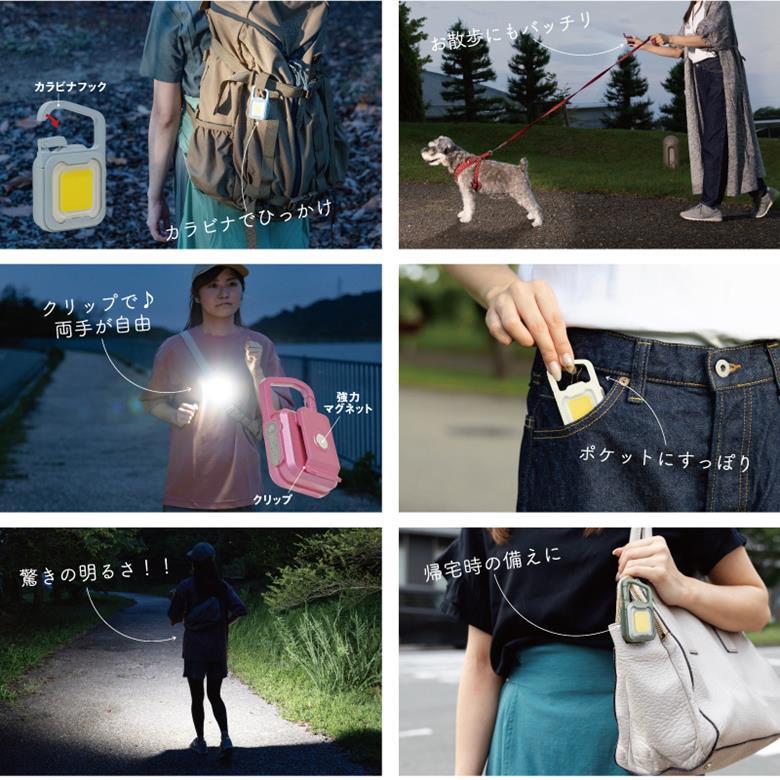 防災グッズ ライト ムサシ 充電式 ぴかり ミニライト LED 小型 軽量