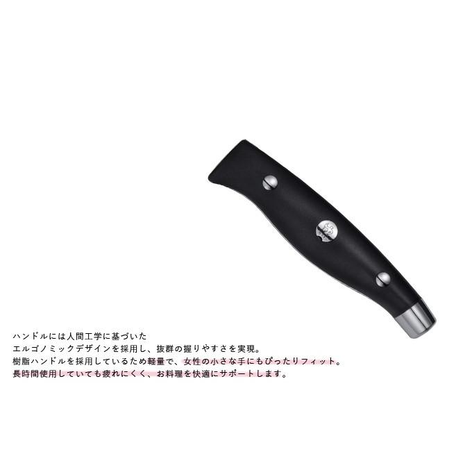10081-000] ヘンケルス 包丁セット ロストフライ セルフシャープニング