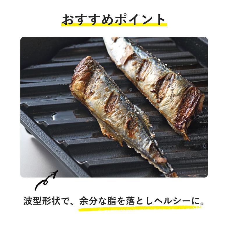 大人の鉄板 オークス 大人の焼魚 炭グリル OTS8010 : ものうりばPlantz