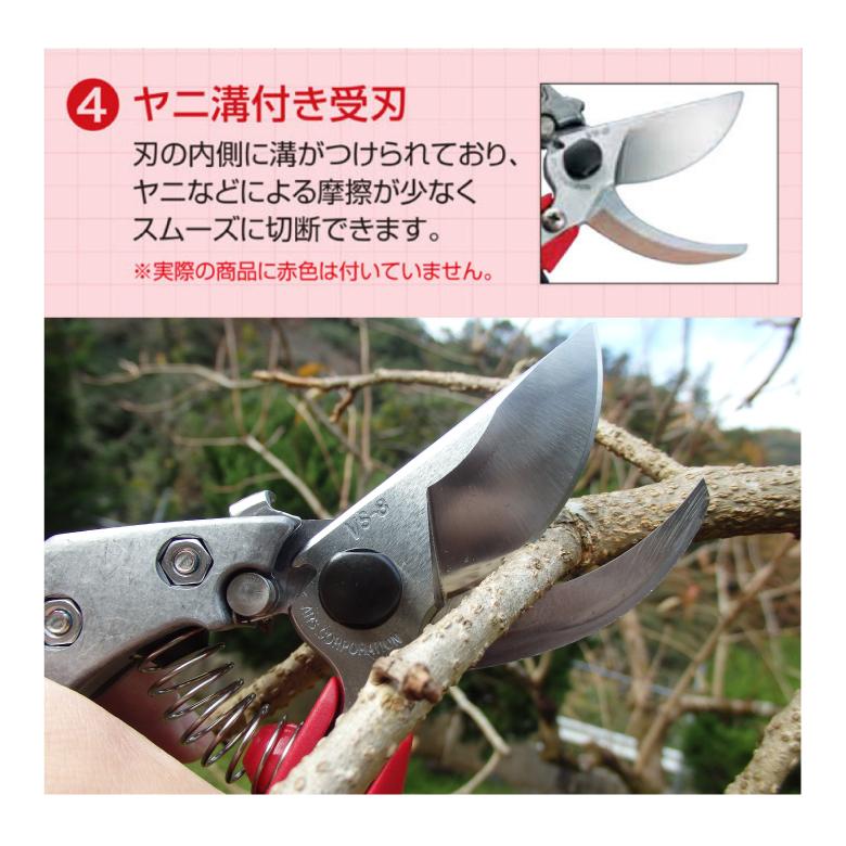 アルス ARS VS-8R 剪定鋏ブイエスエイトロータリー 8インチ Mサイズ
