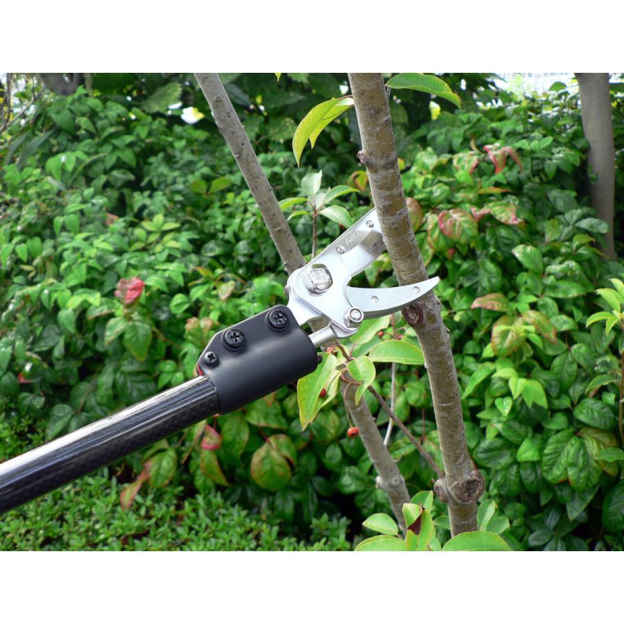 アルス ARS 超軽量プロ用高枝鋏 カーボンチョキ 採収タイプ 160PCC-1.8