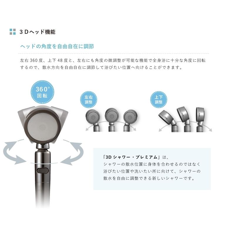Arromic（アラミック） ARROMIC 3D-X1A 3Dシャワー プレミアム