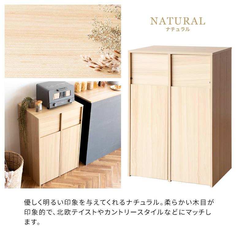 分別キャスターダストボックス Helios（ヘリオス） DB-F2100 ゴミ箱 インテリア おしゃれ スタイリッシュ リビング家具 宮武製作所_18
