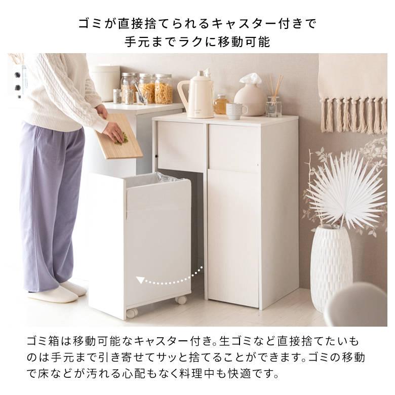 分別キャスターダストボックス Helios（ヘリオス） DB-F2100 ゴミ箱 インテリア おしゃれ スタイリッシュ リビング家具 宮武製作所_7