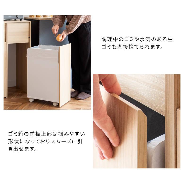 分別キャスターダストボックス Helios（ヘリオス） DB-F2100 ゴミ箱 インテリア おしゃれ スタイリッシュ リビング家具 宮武製作所_8