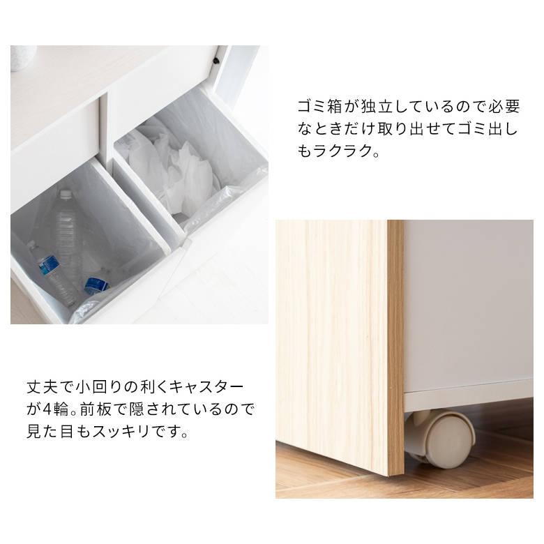 分別キャスターダストボックス Helios（ヘリオス） DB-F2100 ゴミ箱 インテリア おしゃれ スタイリッシュ リビング家具 宮武製作所_10