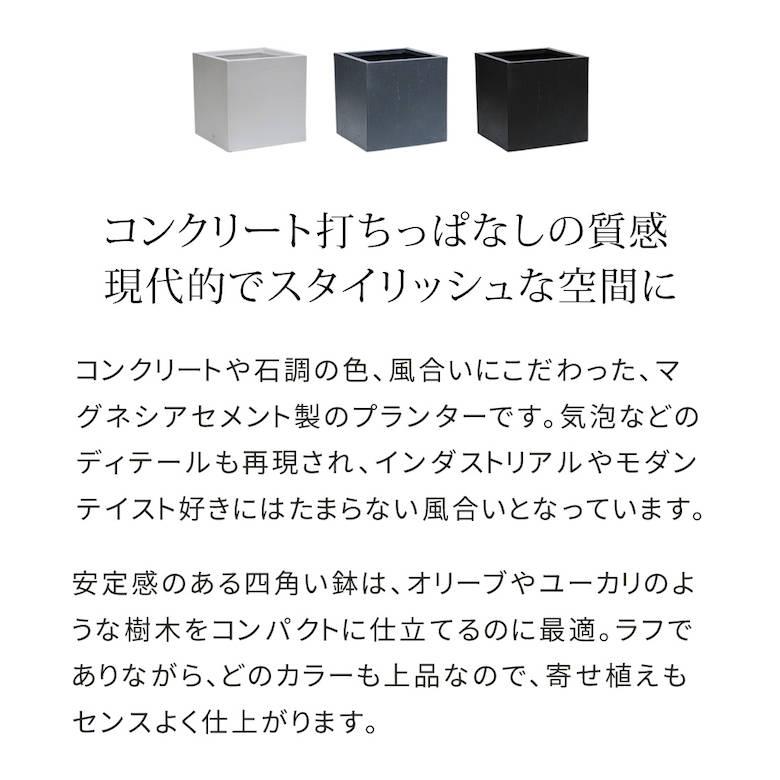 ブランド登録なし - マグネシアプランター \"TEXTURE\""（風合い） 角型36糎 黒いこと/薄墨色/白いこと TEX-360C 爆買"