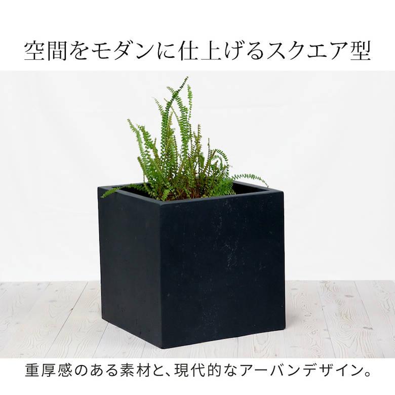 ブランド登録なし - マグネシアプランター \"TEXTURE\""（風合い） 角型36糎 黒いこと/薄墨色/白いこと TEX-360C 爆買"