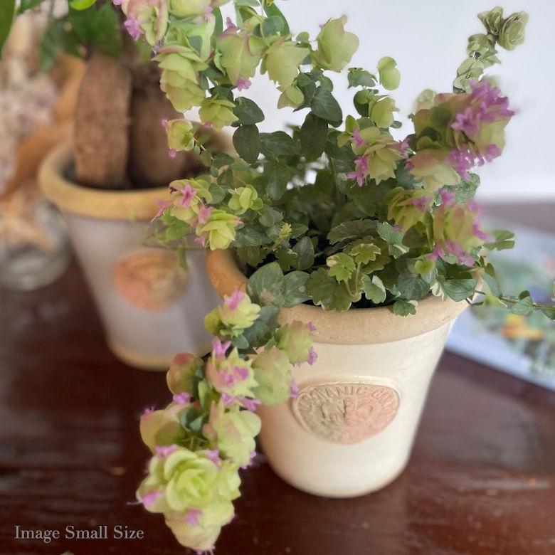 Terrace&Garden Kew Long Tom Pot キューポット キューガーデン 植木鉢
