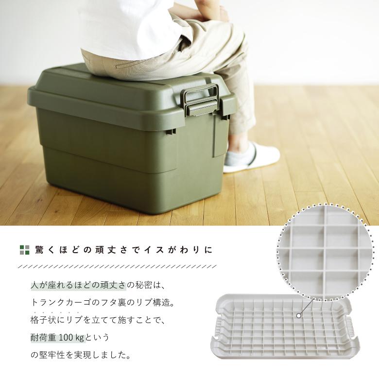 RISU（リス） トランクカーゴ TC-50 コンテナ収納 容量50L 収納ケース