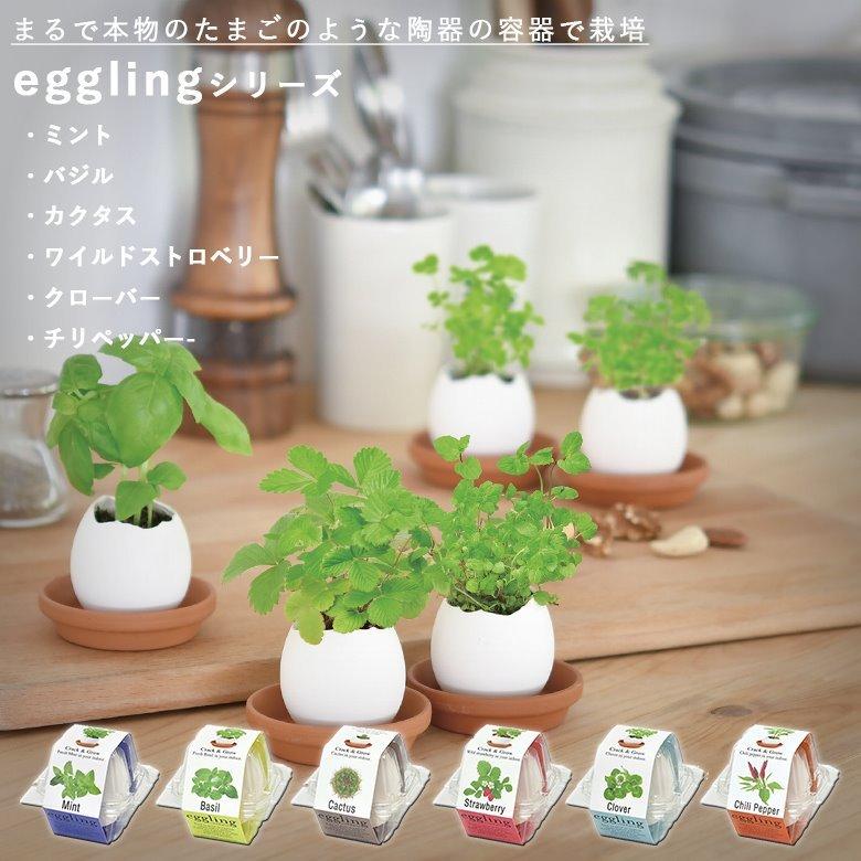 家庭菜園 EG-57 エッグリング 6種類から選べます 聖新陶芸 : ものうり