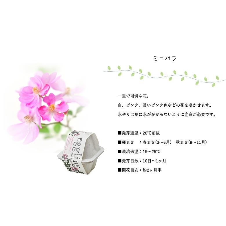 家庭菜園 Eg 5 エッグリング エコフレンドリー ミニバラまたはカーネーション 聖新陶芸 Seishin Eg 5 ものうりばplantz 通販 Yahoo ショッピング