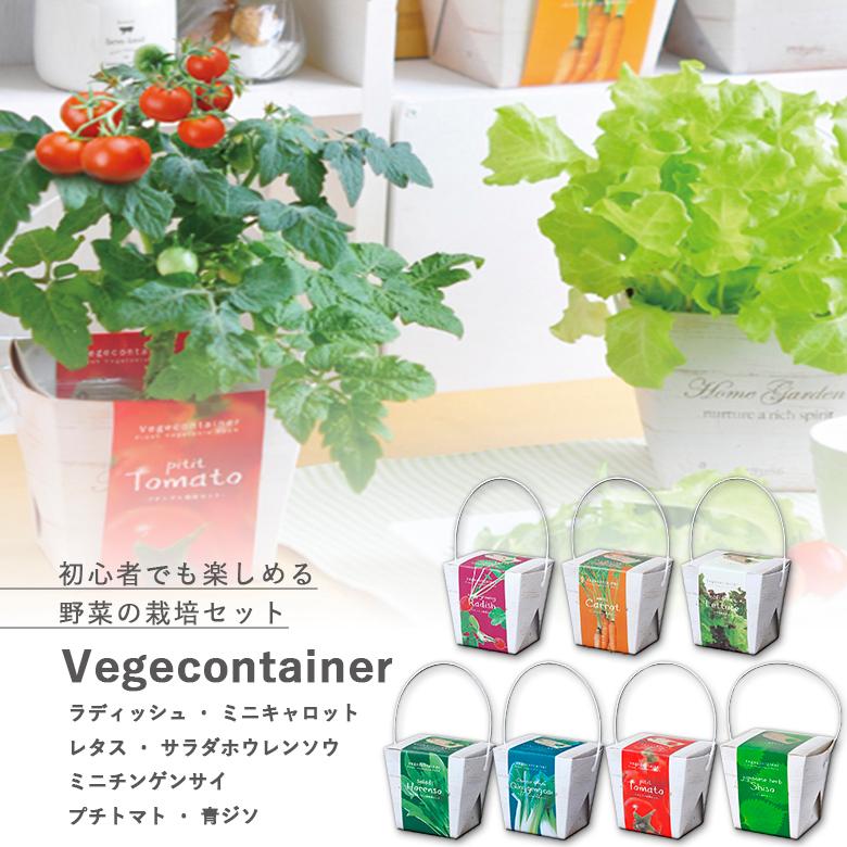 家庭菜園 Gd 333 ベジコンテナ 7種類から選べます プチトマトは12月 6月のみの販売です 聖新陶芸 Seishin Gd 333 ものうりばplantz 通販 Yahoo ショッピング