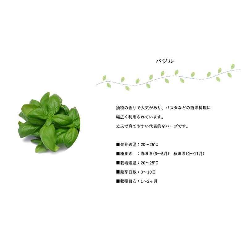 家庭菜園 Gd 80 プランツロック 単品1個 バジルまたはカクタス サボテン 聖新陶芸 Seishin Gd 80 ものうりばplantz 通販 Yahoo ショッピング