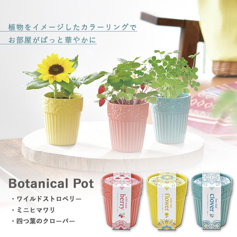 家庭菜園 GD-904 ボタニカルポット 3種類から選べます 聖新陶芸 : もの