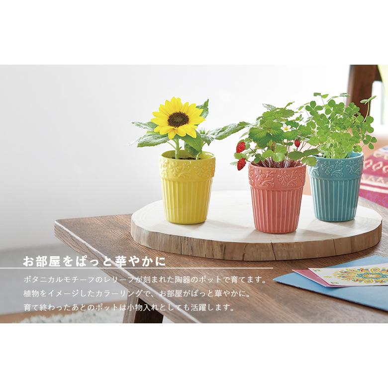 asg　ボタニカル2本 家庭菜園 GD-904 ボタニカルポット 3種類から選べます 聖新陶芸 : もの