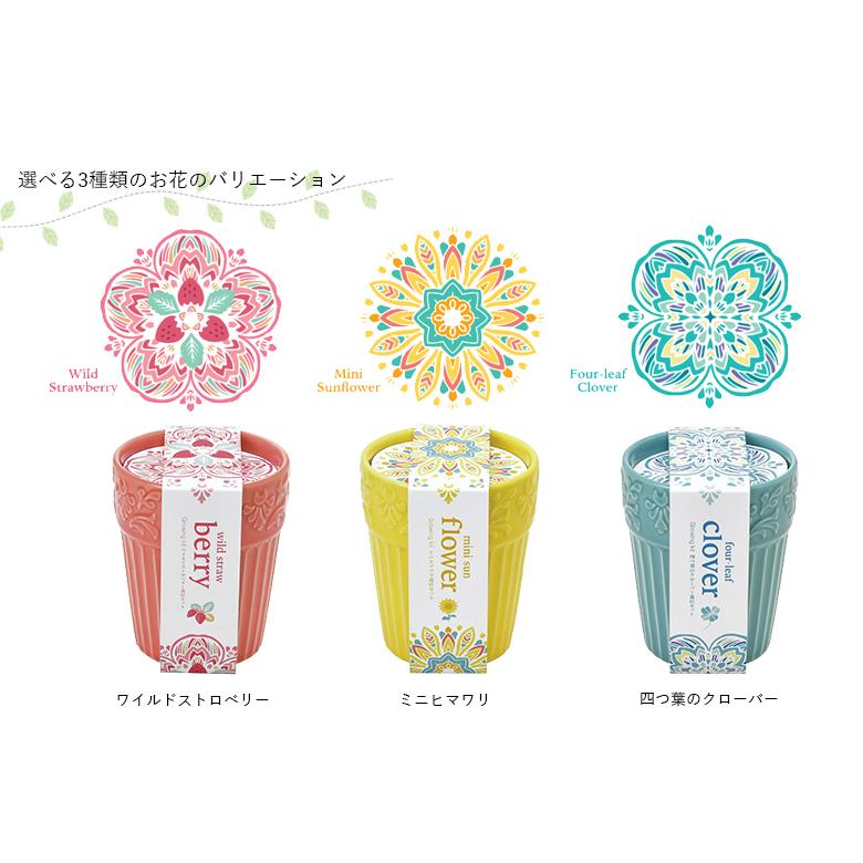 家庭菜園 GD-904 ボタニカルポット 3種類から選べます 聖新陶芸 : もの