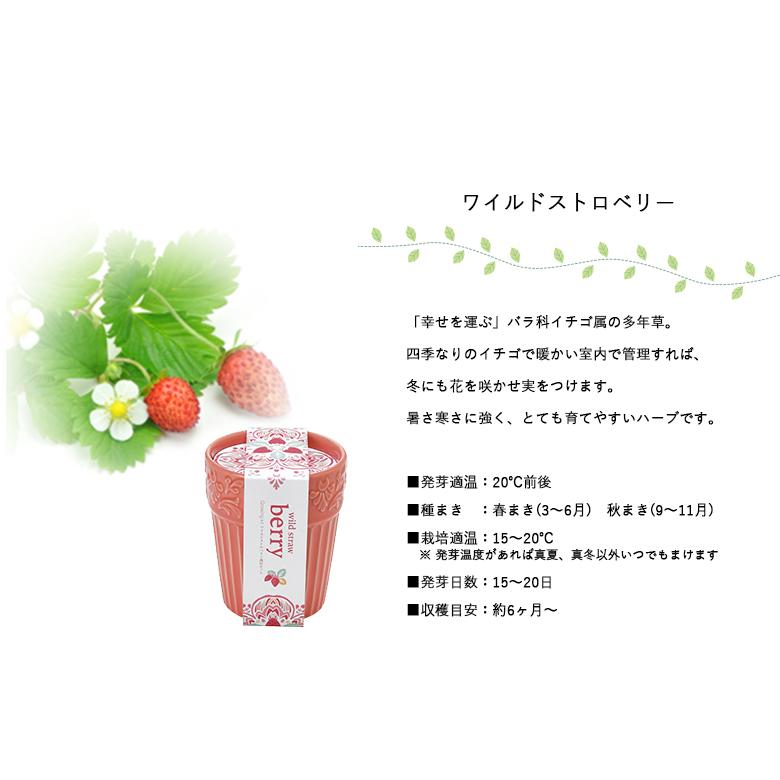 家庭菜園 GD-904 ボタニカルポット 3種類から選べます 聖新陶芸 : もの