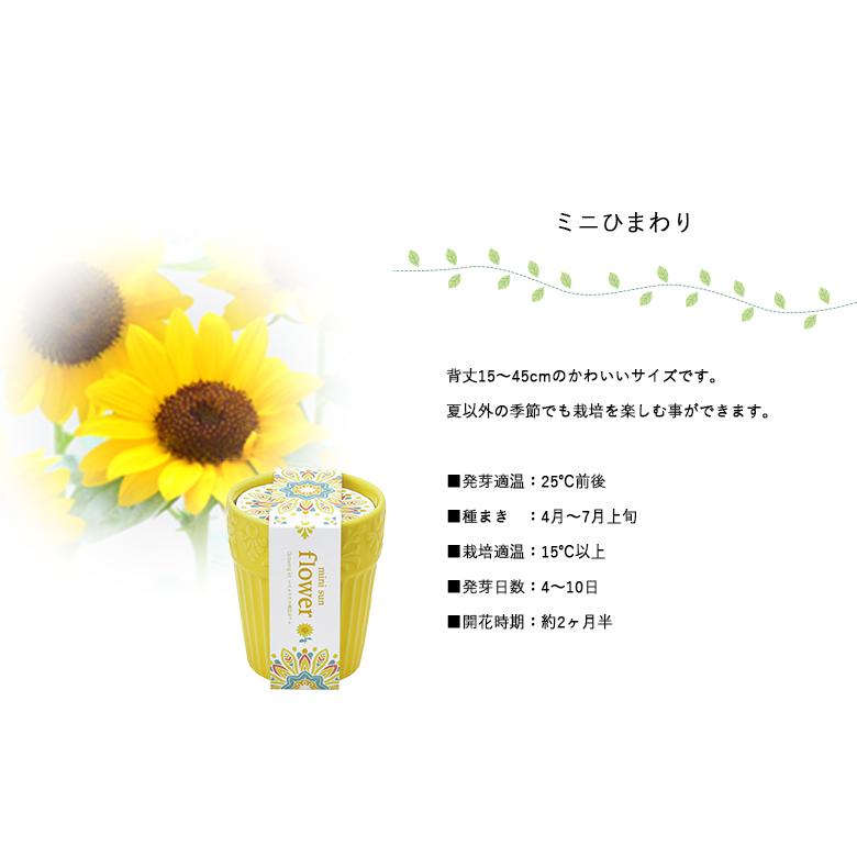 家庭菜園 GD-904 ボタニカルポット 3種類から選べます 聖新陶芸 : もの