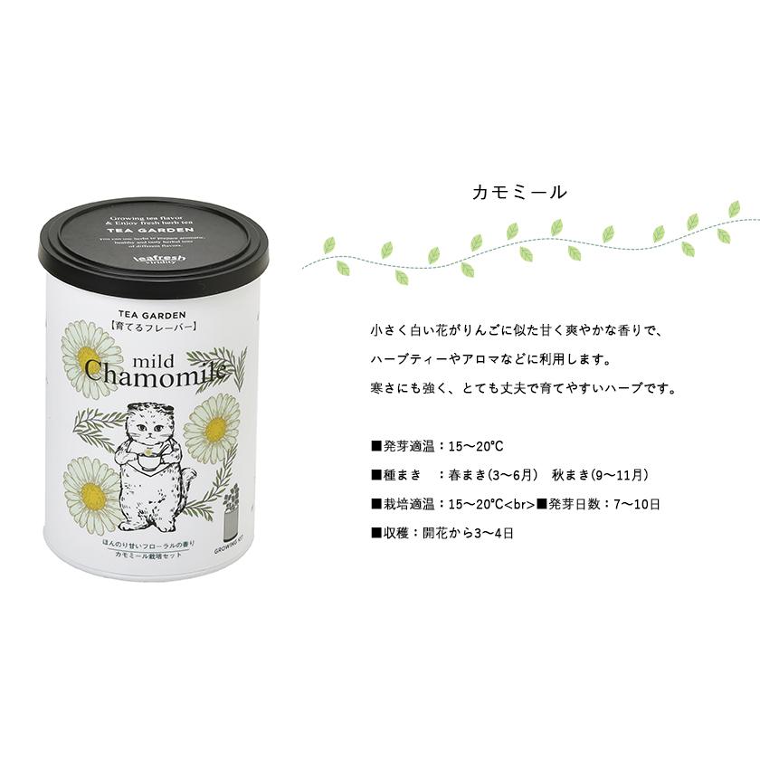 家庭菜園 Gd 905 育てるフレーバー 選べる4種類のバリエーション 聖新陶芸 Seishin Gd 905 ものうりばplantz 通販 Yahoo ショッピング