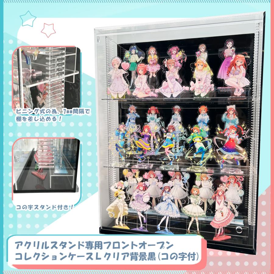 高さ移動自由】 アクリルスタンド専用コレクションケースLクリア(コの