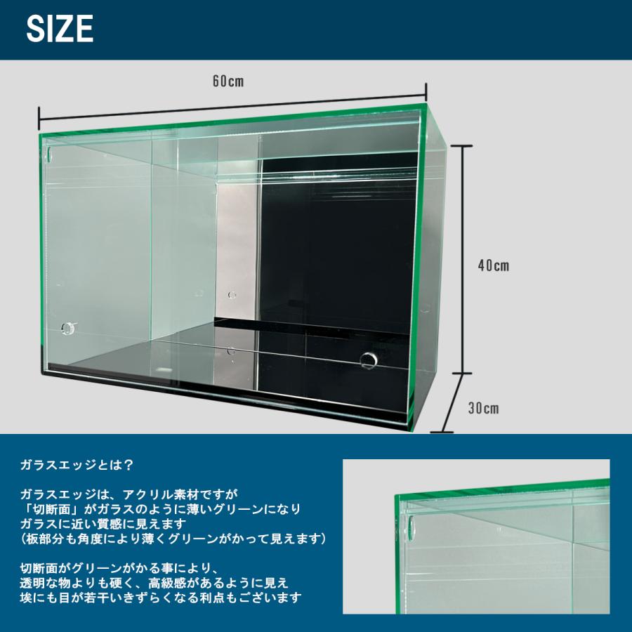 ガラス色 幅60cm 】 フロントオープン式 アクリルコレクションケース