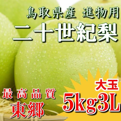二十世紀梨 20世紀梨 鳥取県 東郷 赤秀 5kg 3L(12~14玉） 送料無料