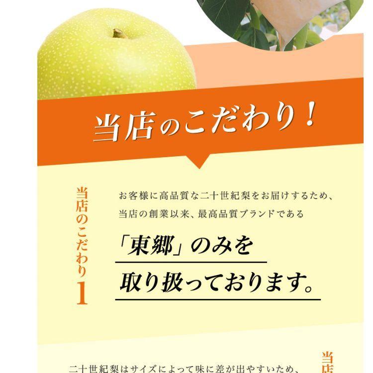 二十世紀梨 20世紀梨 鳥取県 東郷 赤秀 5kg 3L(12~14玉） 送料無料