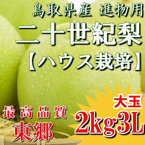 ちさと　ハウス20世紀梨　2箱セット 二十世紀梨 鳥取県 ハウス二十世紀梨 20世紀梨 東郷 2kg 3L(6玉）大玉