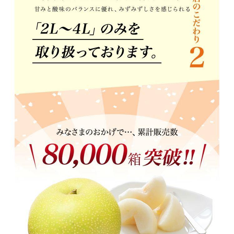 二十世紀梨 鳥取県 ハウス二十世紀梨 20世紀梨 東郷 2kg 3L(6玉）大玉