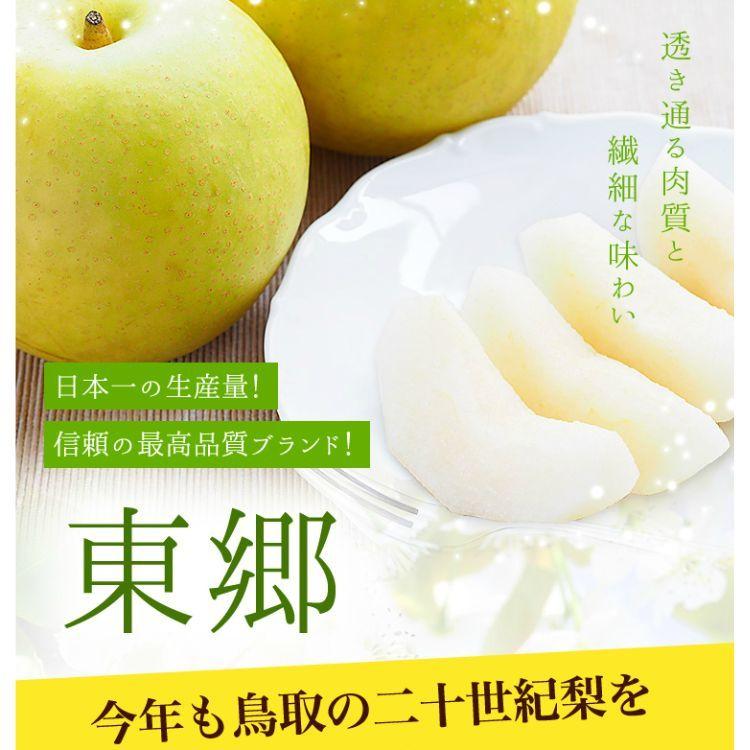二十世紀梨 鳥取県 ハウス二十世紀梨 20世紀梨 東郷 2kg 3L(6玉）大玉