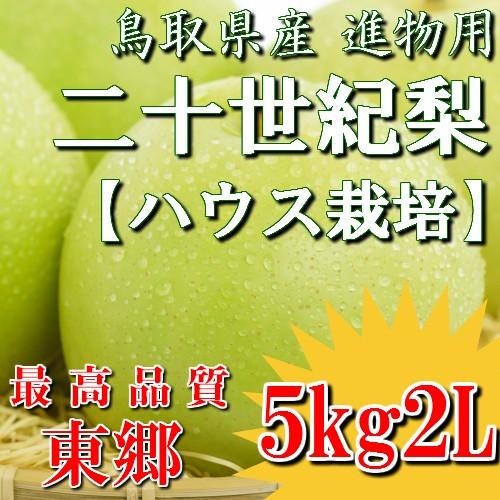 二十世紀梨 鳥取県 ハウス二十世紀梨 20世紀梨 東郷 5kg 2L(16玉