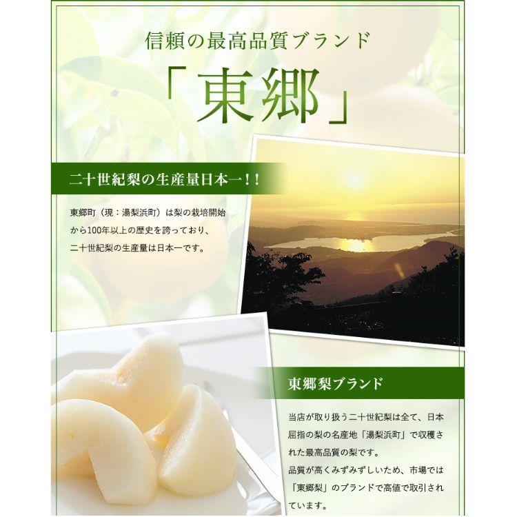 二十世紀梨 20世紀梨 鳥取県 東郷 赤秀 10kg 3L(24~28玉） 送料無料