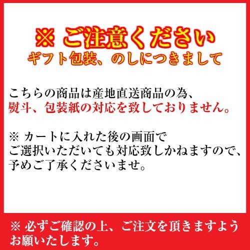 アウトレット [新品]完全変形ドラえもん 新品未開封/送料無料/激安処分 楽天市場】ANEX 龍靭ビット +3x110 レギュラータイプ トーション
