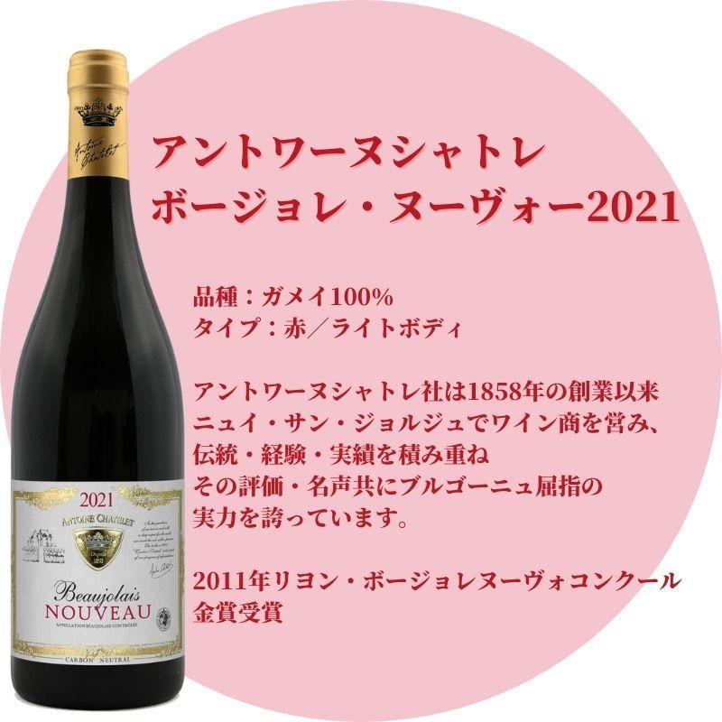 ボジョレーヌーボー アントワーヌ シャトレ ボージョレ ヌーヴォー 750ml 赤ワイン W Nouveau プラットダルジャン ヤフー店 通販 Yahoo ショッピング