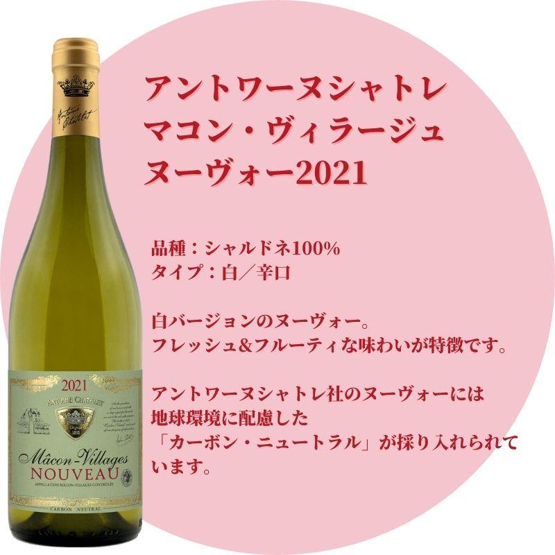 ボジョレー ヌーボー アントワーヌ シャトレ マコン ヴィラージュ ヌーヴォー 750ml 白ワイン W7392 プラットダルジャン ヤフー店 通販 Yahoo ショッピング