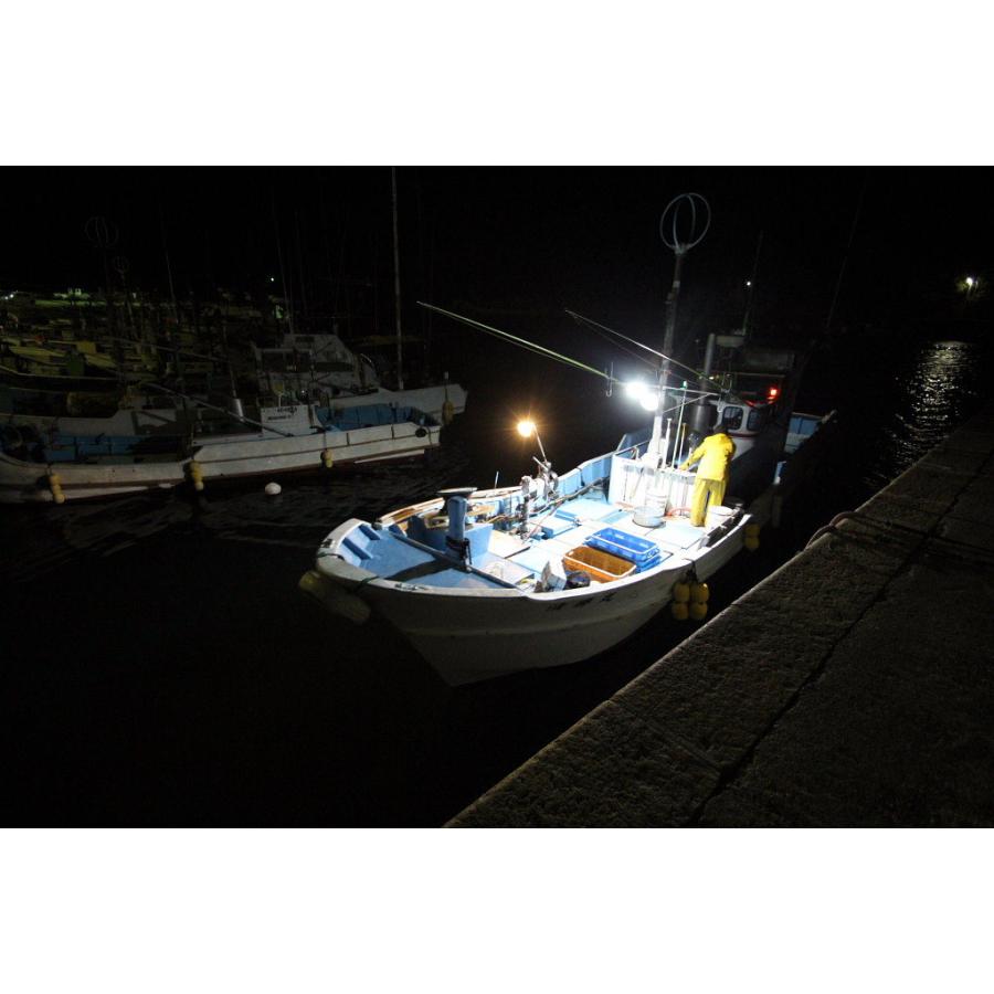 No1820 LED電球 15w 船舶向け DC 24V 用 LED 船 作業灯 デッキライト