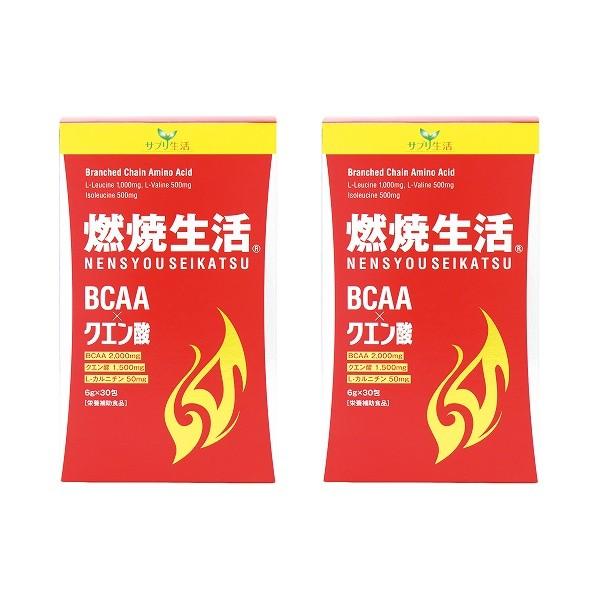 クエン酸 L-カルニチン コエンザイムQ10 BCAA 配送員設置 難消化性デキストリン パントテン酸カルシウム 品質のいい ビタミン サプリ生活 B6 B1 2個セット B2 30包 燃焼生活
