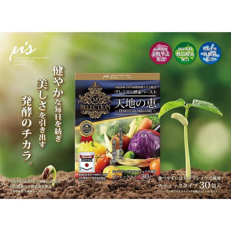 食べる酵素 プレミアム 酵素ペースト 天地の恵 5g×30包入（150g