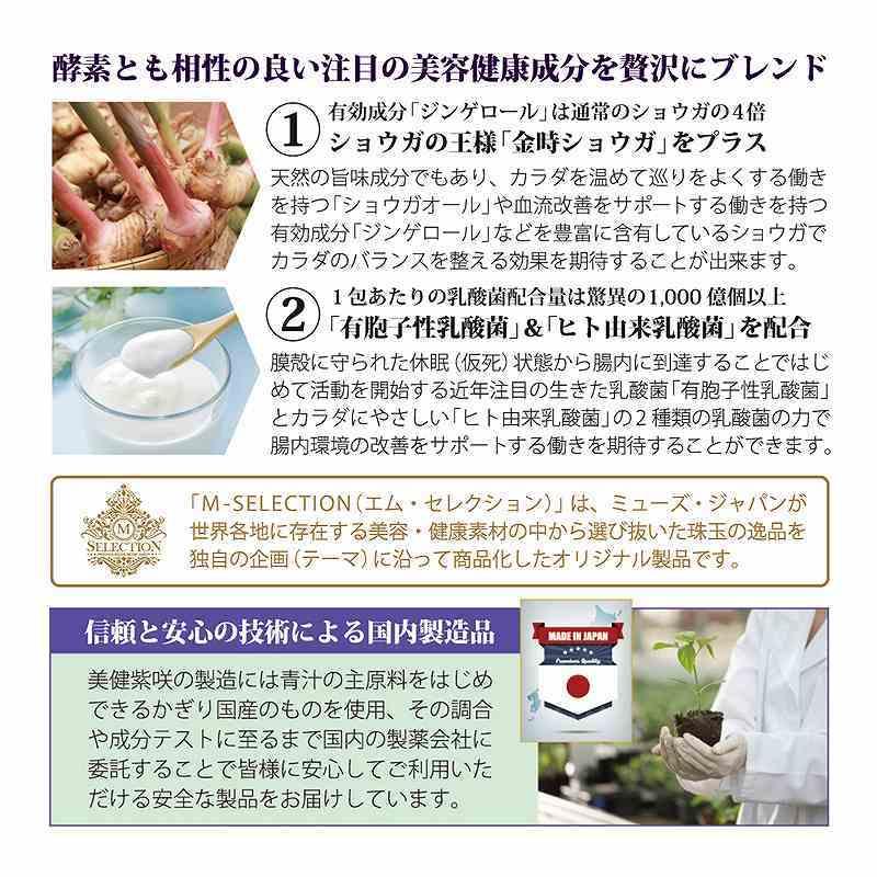 食べる酵素 プレミアム 酵素ペースト 天地の恵 5g×30包入（150g