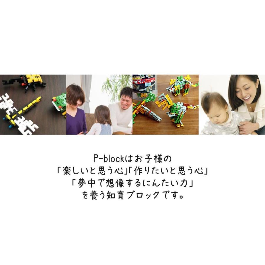 2500ピース 知育ブロック P-BLOCK ピーブロック ブロック おもちゃ PBLOCK 日本製 脳トレ 知育玩具 4歳以上 知育玩具 知育玩具 おもちゃ ギフト 誕生日｜platina-shop｜16