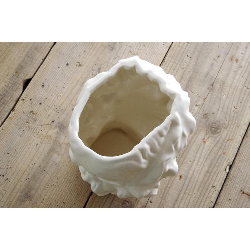 ほぼ新品 DOIY APOLLO アポロ フラワーベース 花瓶 マルチケース